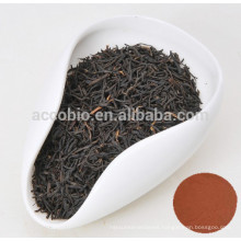 Black Tea Tincture Camellia sinensis